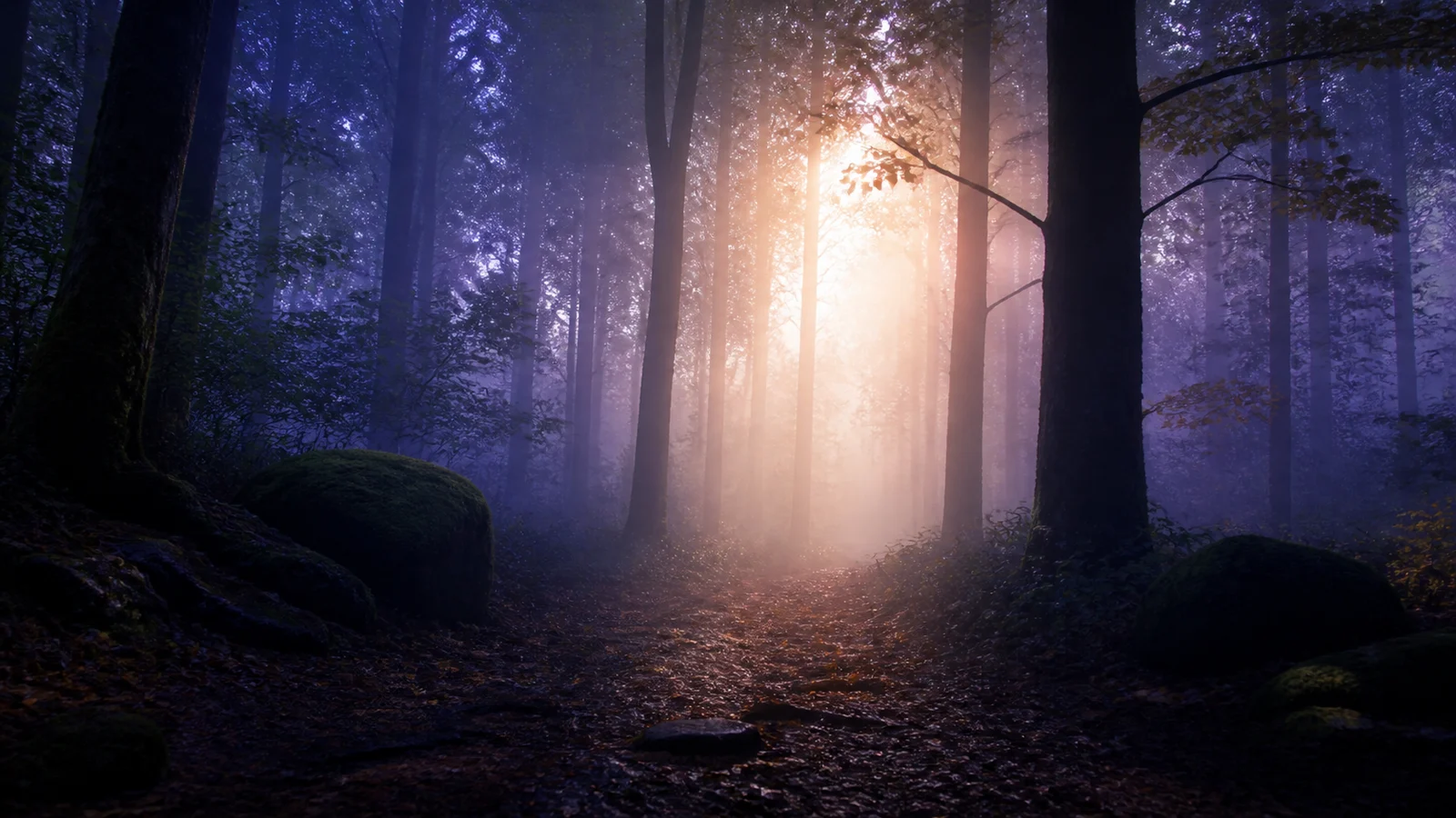 La brume en spiritualité : transition, intuition et ce qui se révèle peu à peu