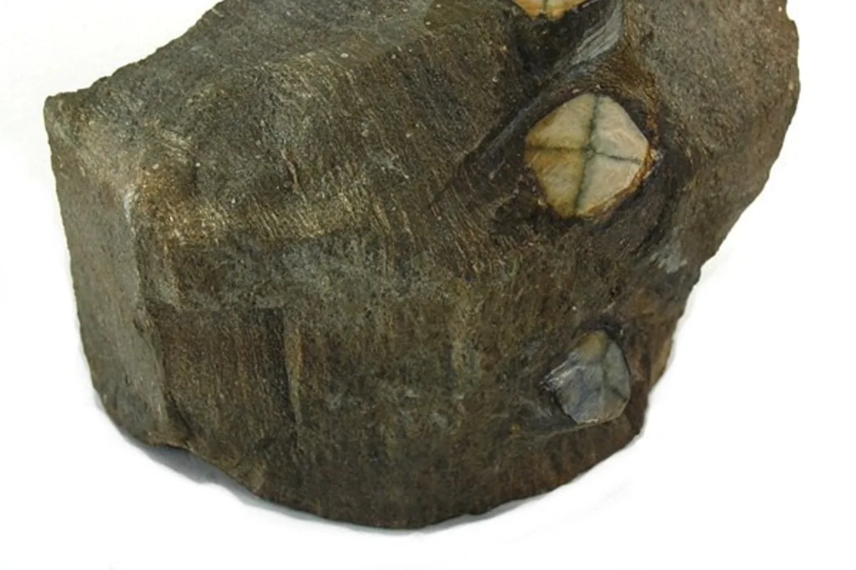 Chiastolite - exemple de pierre naturelle